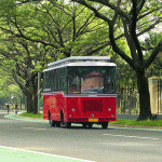 Jogging-Track-green-line